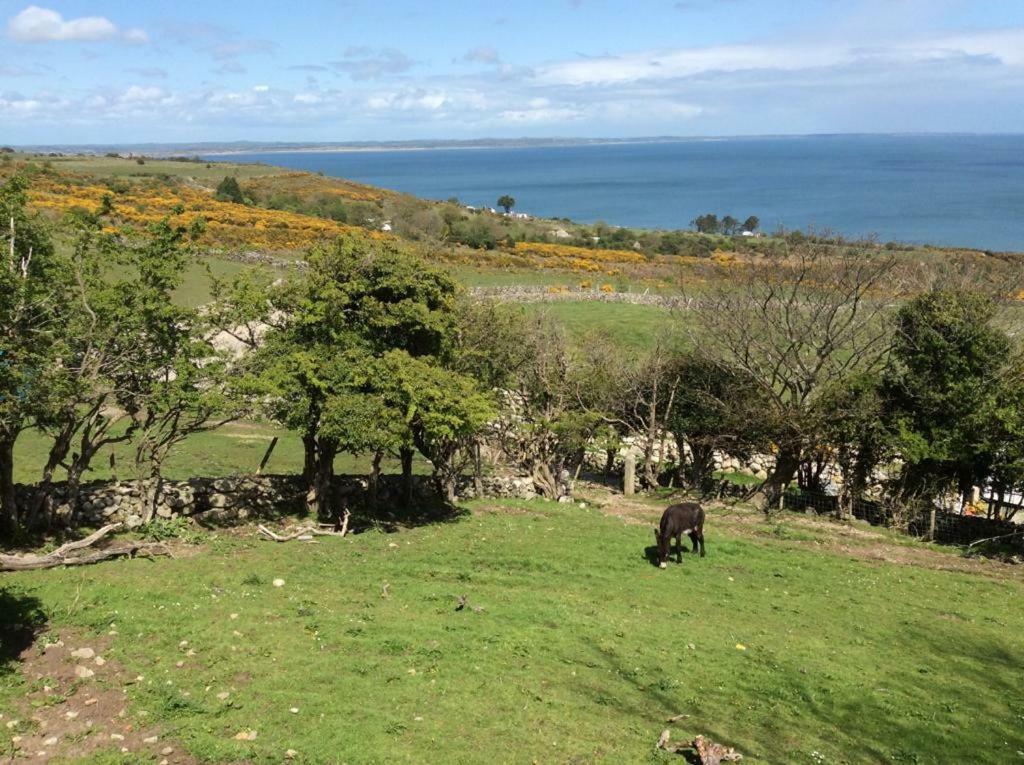 Stunning Views At Ballagh Cottage Newcastle Ньюкасл Екстер'єр фото
